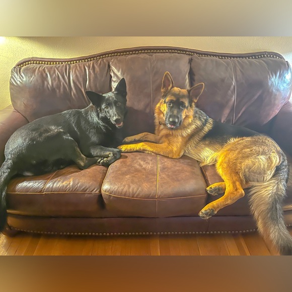 Meet your Posher, Rachel - Picture 2 of 15